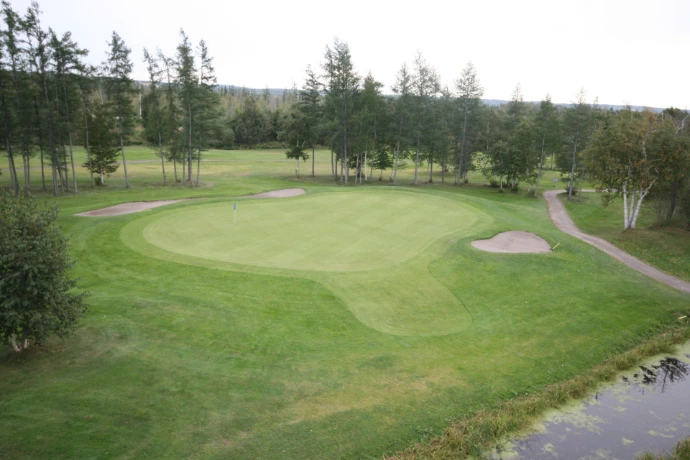 Vert de golf
