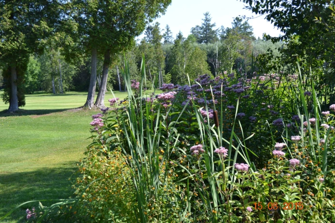 Départ de golf